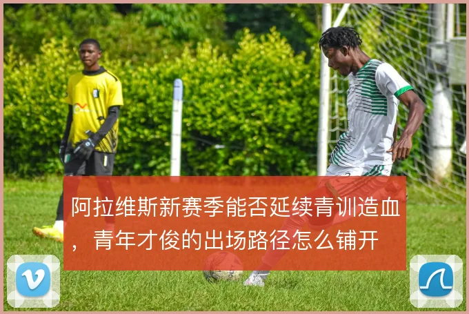 阿拉维斯新赛季能否延续青训造血，青年才俊的出场路径怎么铺开